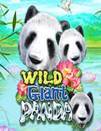 เทคนิคสุดปัง ทาง เล่น superslotSLOT ยังไงให้ปังเวอร์